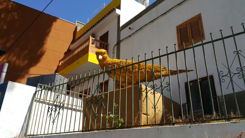 Мария Шаталина | Нижний Новгород