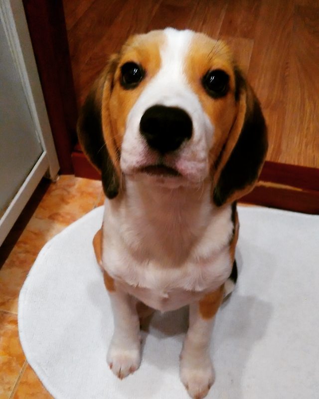 Елена Великанова | Екатеринбург