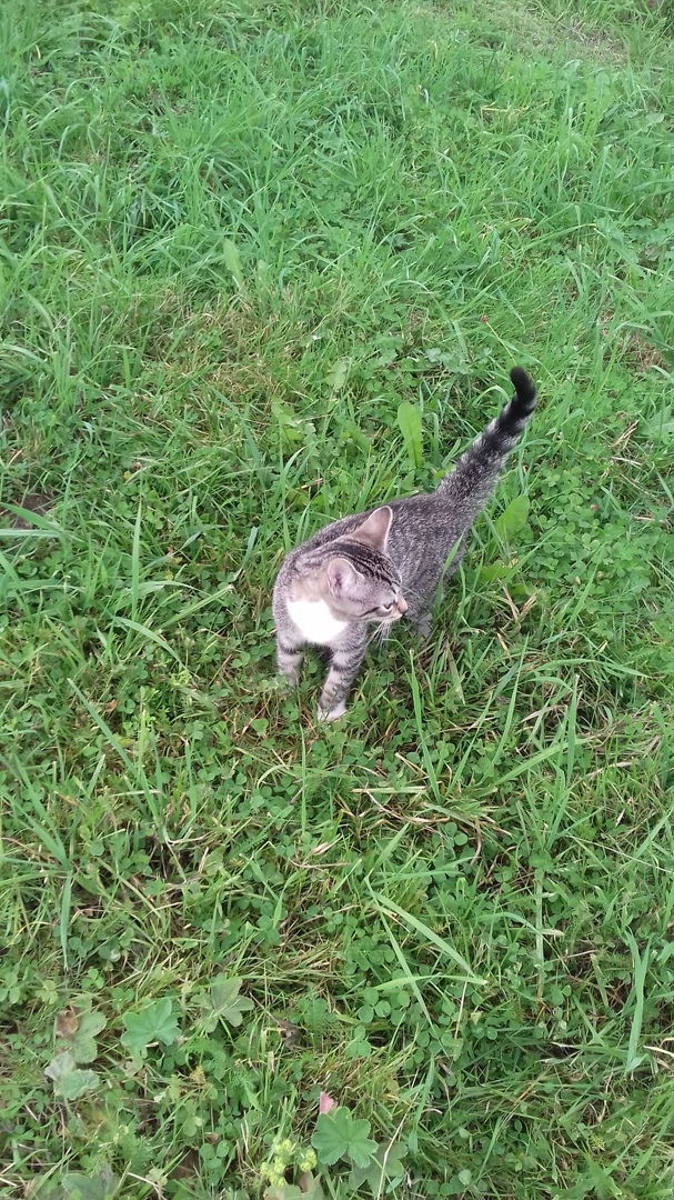 Татьяна Алёшина | Санкт-Петербург