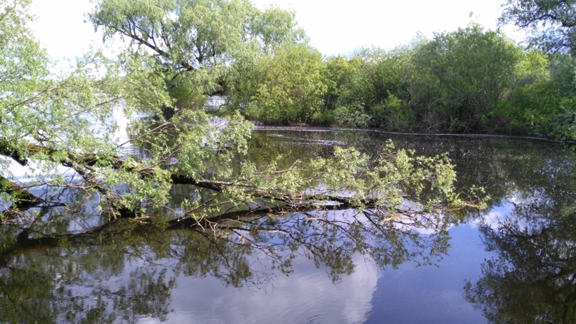 Мария Терентьева | Санкт-Петербург