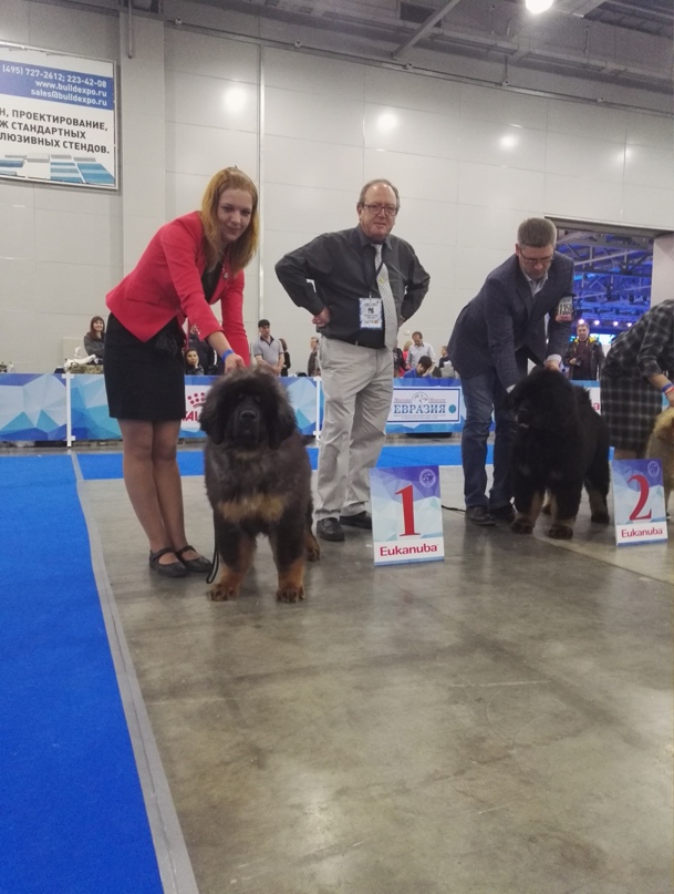 Елена Авраменко | Сочи