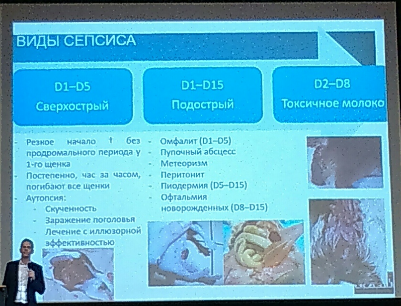 Ирина Рыбинская | Санкт-Петербург