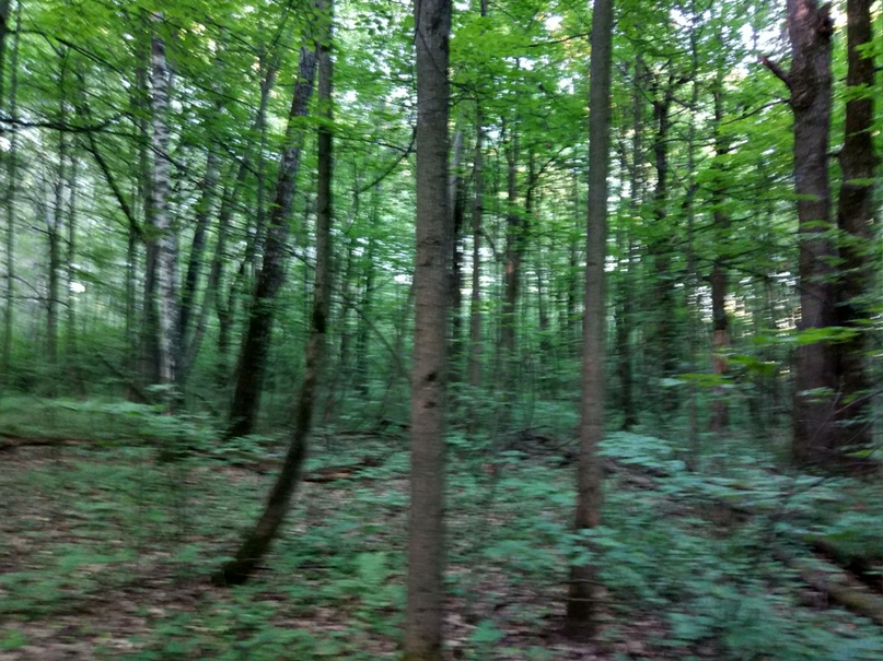 Александр Пугач | Подольск