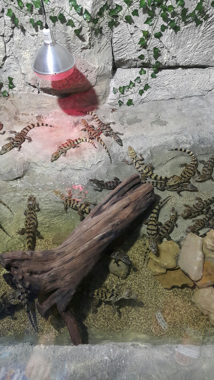 Кира Ершова | Челябинск