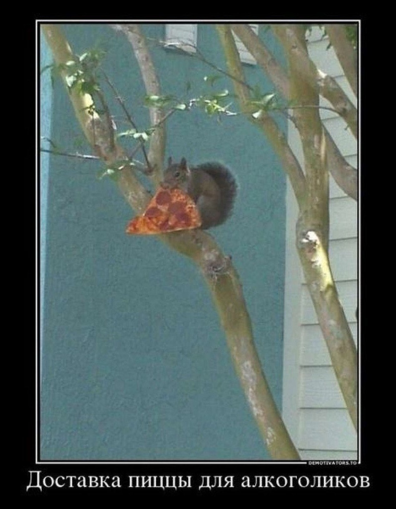 Алла Рюмина |