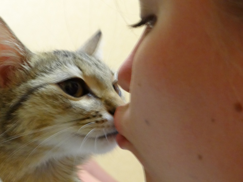 Ирина Мешкова | Воронеж