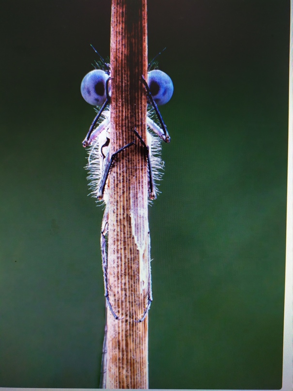 Мария Белобородова | Королёв