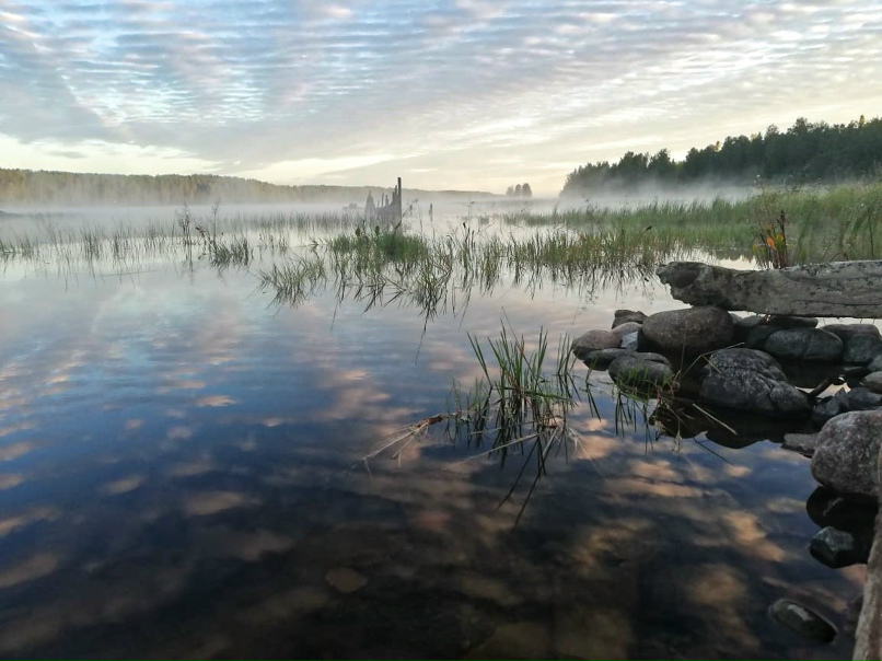 Сергей Авраменко | Санкт-Петербург