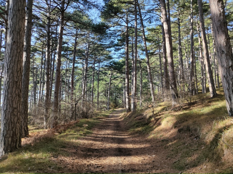 Олег Бобков | Ярославль