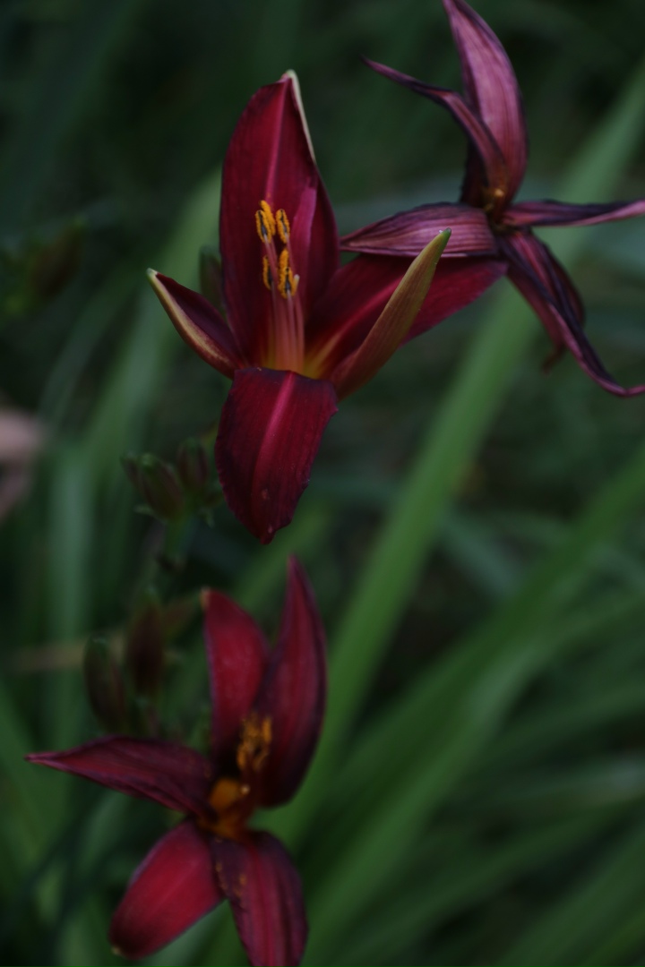 Екатерина Трофимова | Санкт-Петербург