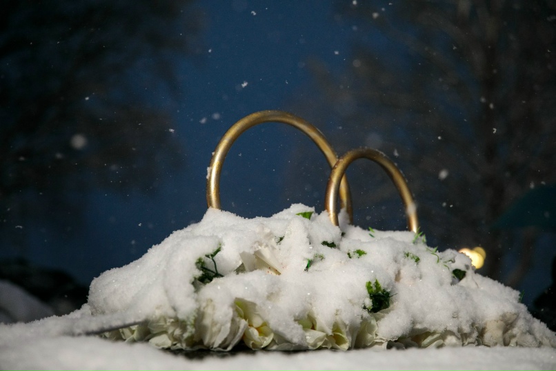 Алексей Зимин | Петрозаводск