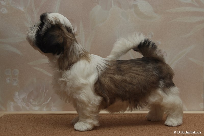 Дарья Щербакова | Москва