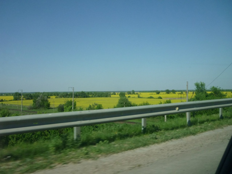 Татьяна Рычкова | Зеленоград