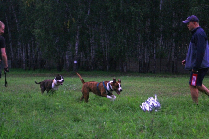 Анастасия Никитина | Челябинск