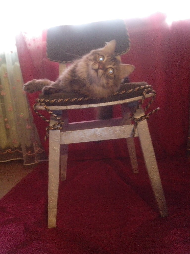 Марина Тихомирова | Апатиты