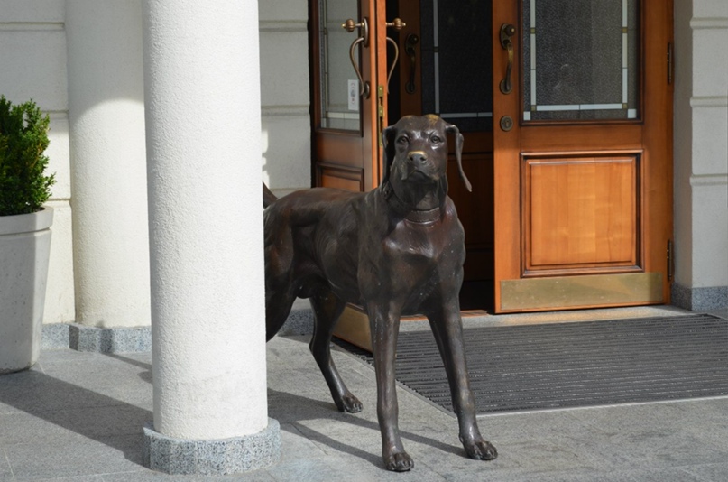 Дарья Павленко | Воронеж