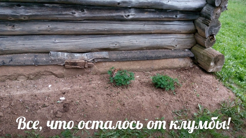 Сергей Финогенов | Санкт-Петербург