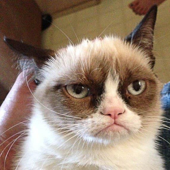 Максим Аникин | Уфа