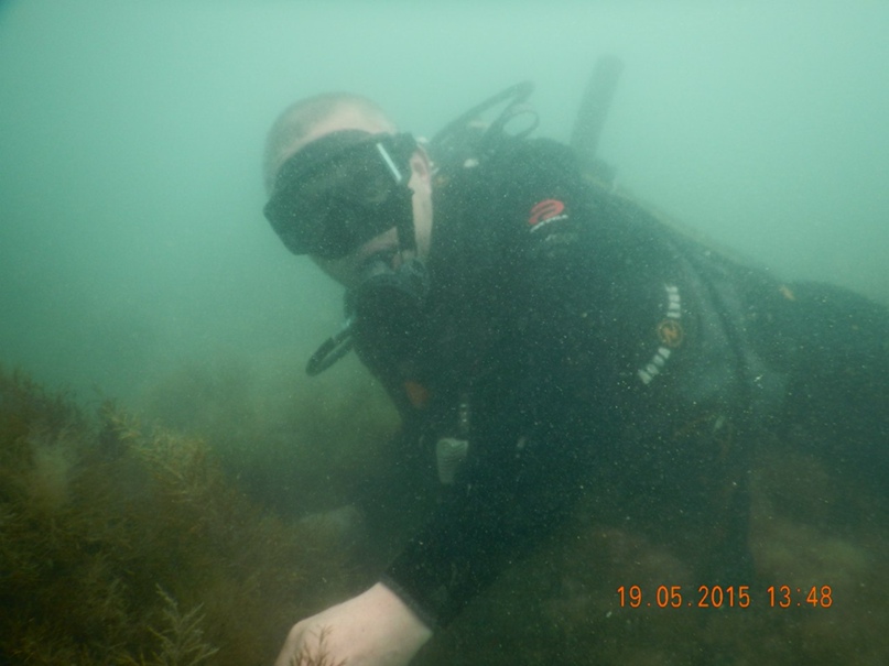 Игорь Удалов | Санкт-Петербург