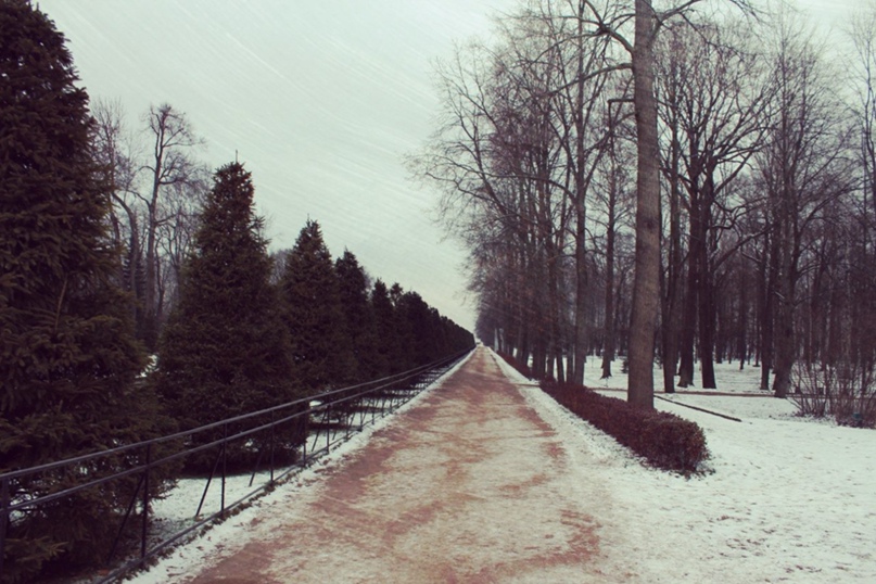 Юлия Прокопова | Москва