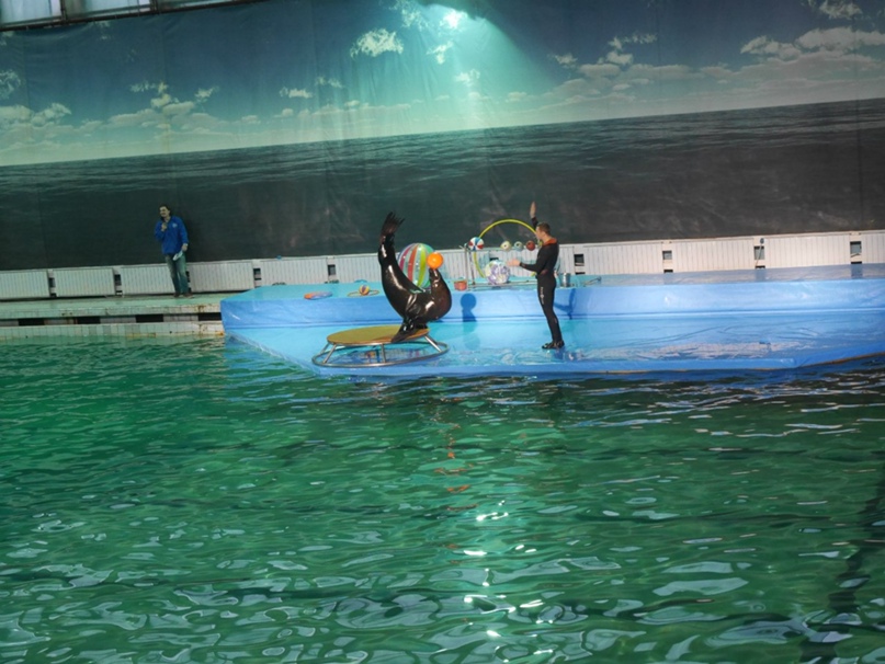 Олег Кабанов | Санкт-Петербург