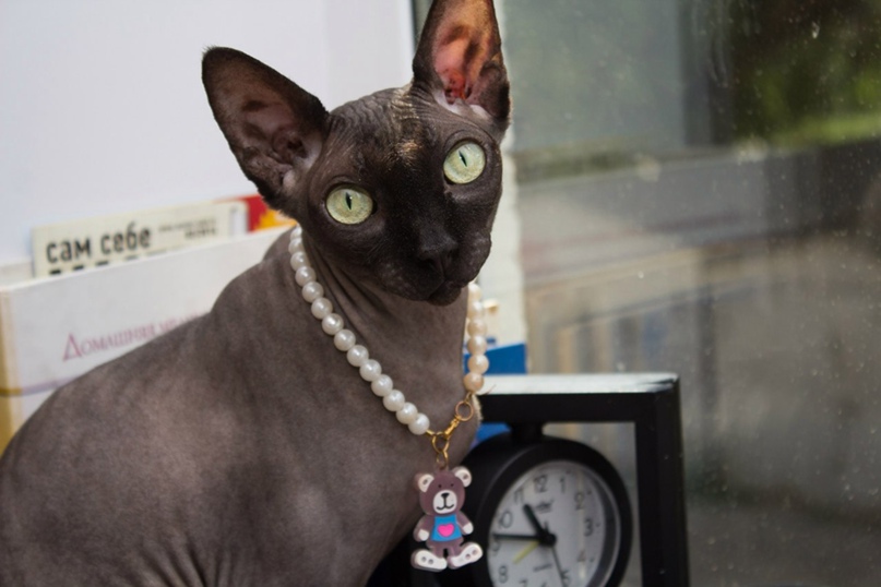 Марина Борисова