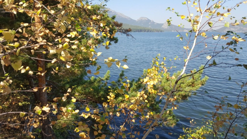 Александр Коваленко | Астана / Нур-Султан