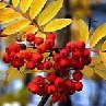 Ксения Мулина | Волгоград