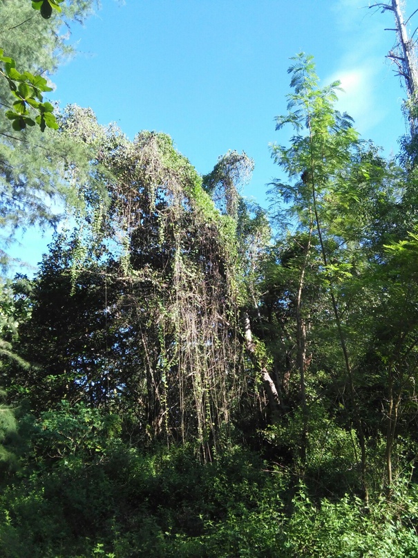 Юлия Бузова | Тюмень