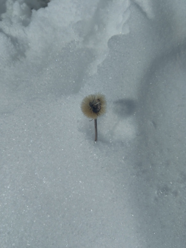 Владимир Селиванов | Санкт-Петербург