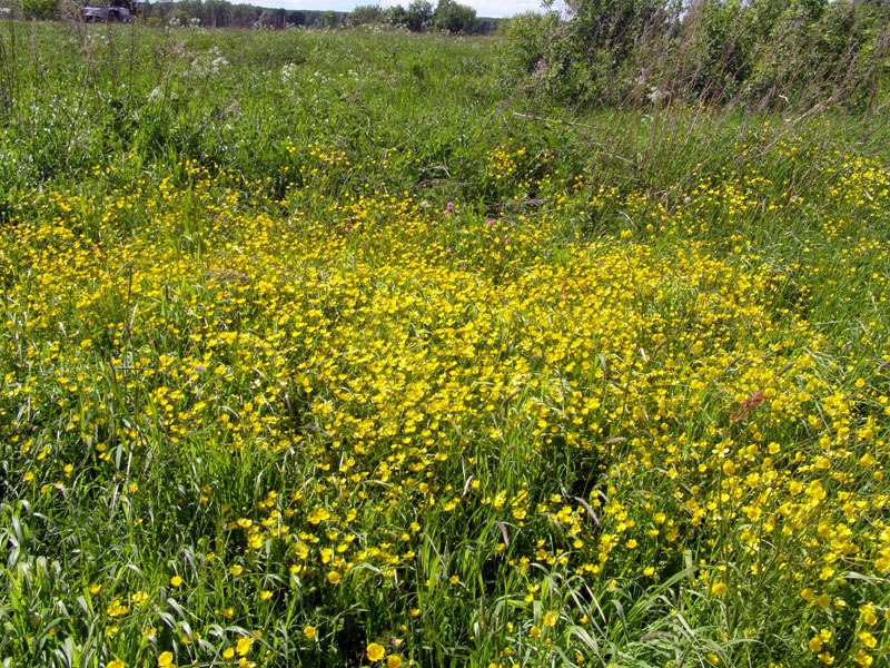Юрий Громов | Краматорск