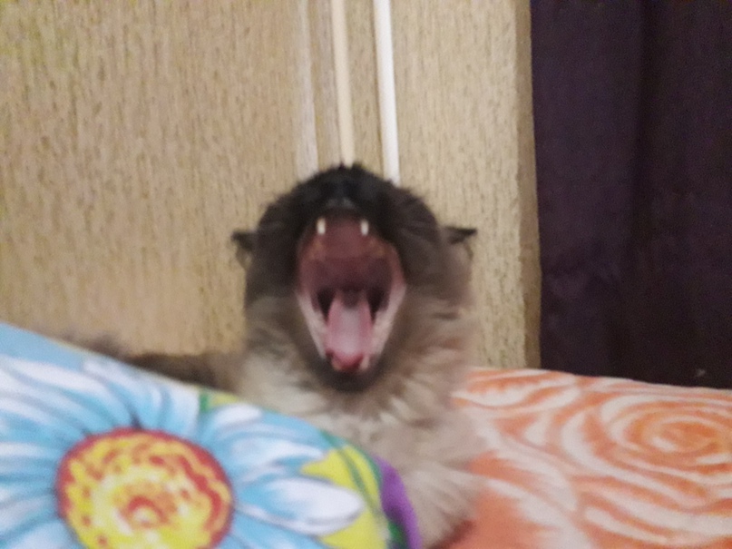 Александр Миракян | Челябинск