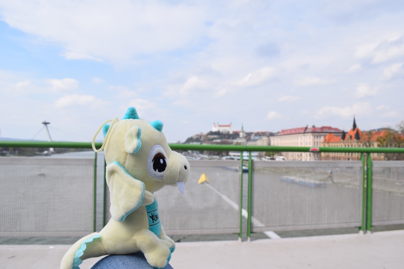 Алексей Малафеев | Псков