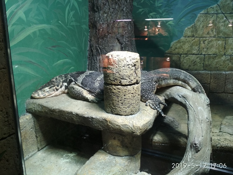 Сергей Горбушин | Миасс