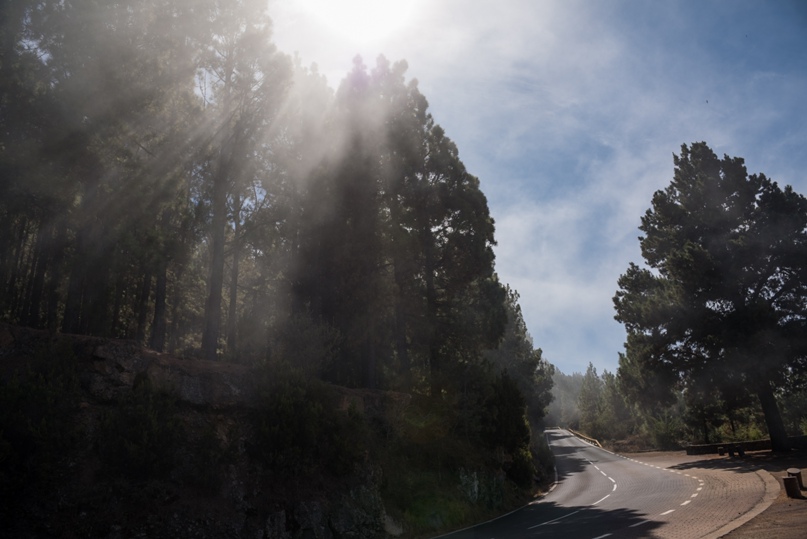 Ольга Каретникова | Тула