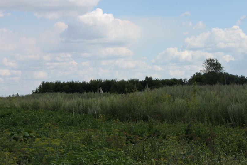 Дмитрий Рытов | Тамбов