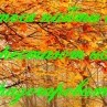Михаил Кругликов |