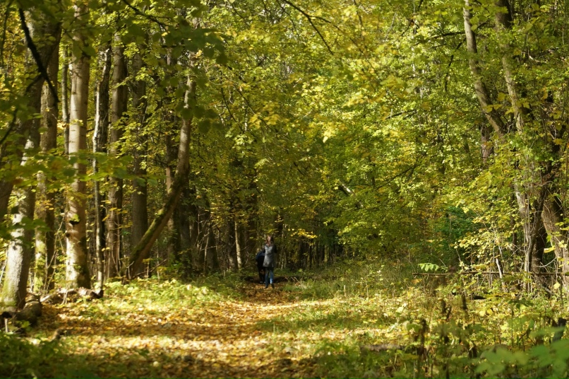 Артем Барыкин | Смоленск
