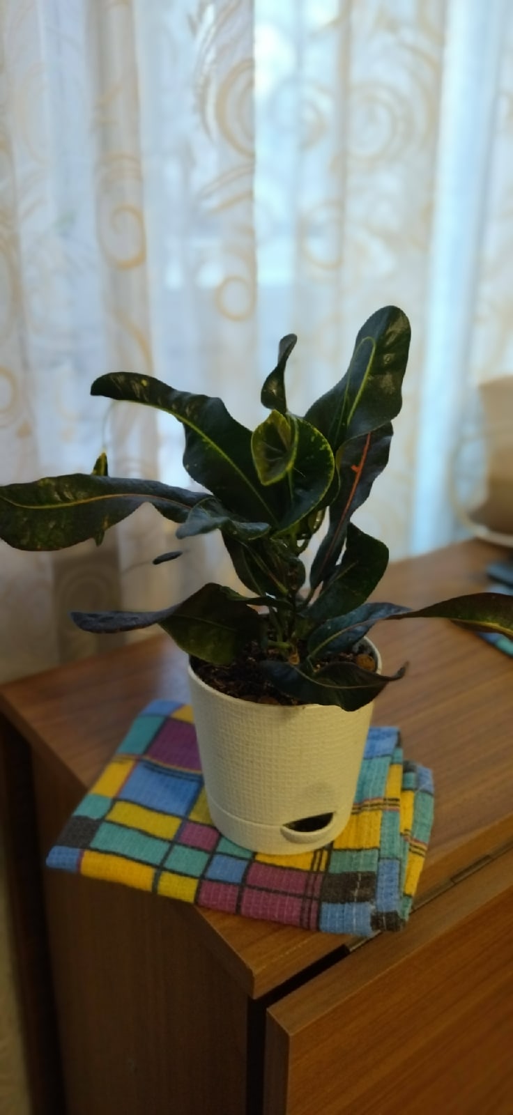 Маруся Климова | Nuuk