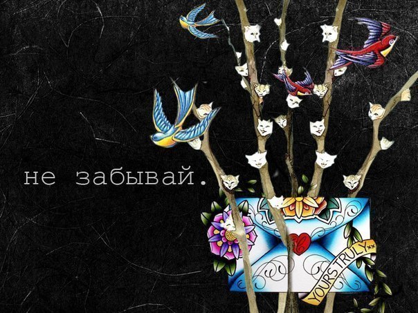 Ксения Терентьева ♥KsU ♥ | Домодедово