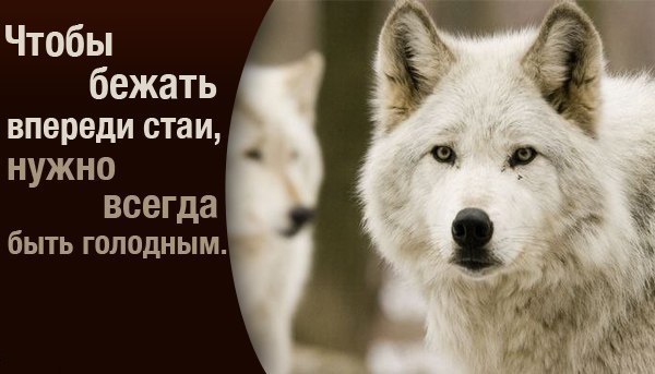 Алексей Глухов Алексеевич | Новосибирск