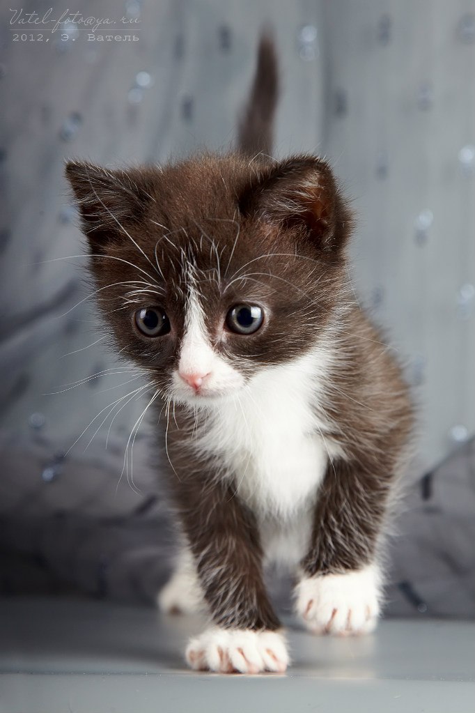 Екатерина Харина | Санкт-Петербург