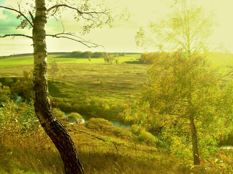 Надежда Саенко | Москва