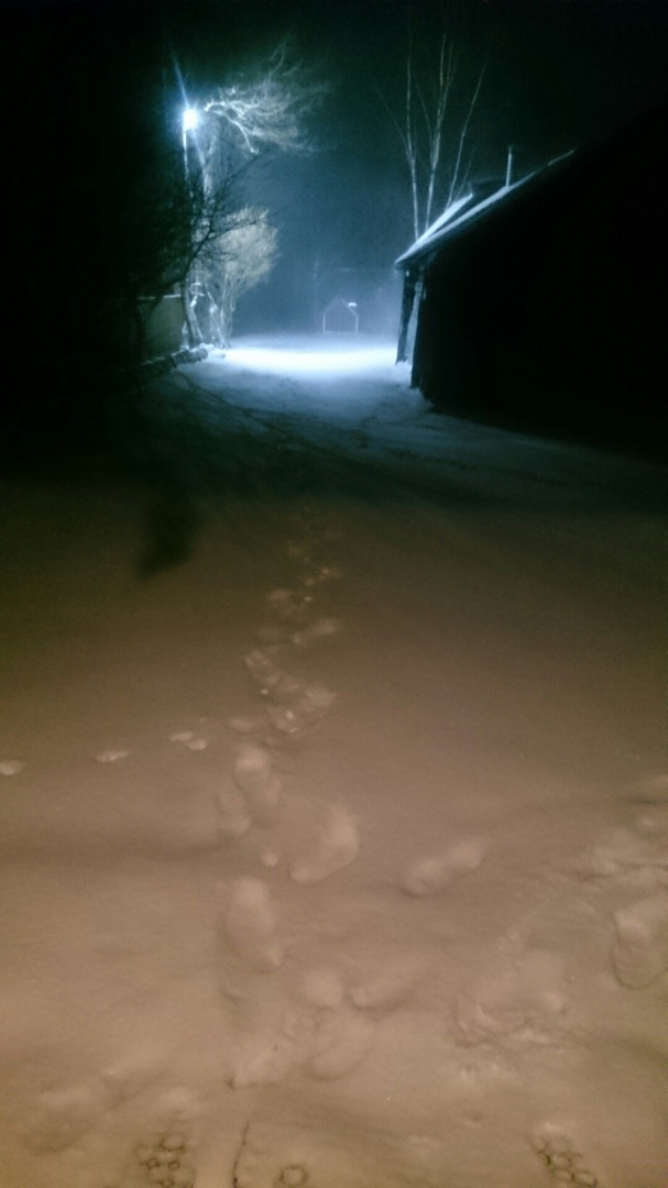 Юлия Линькова | Санкт-Петербург