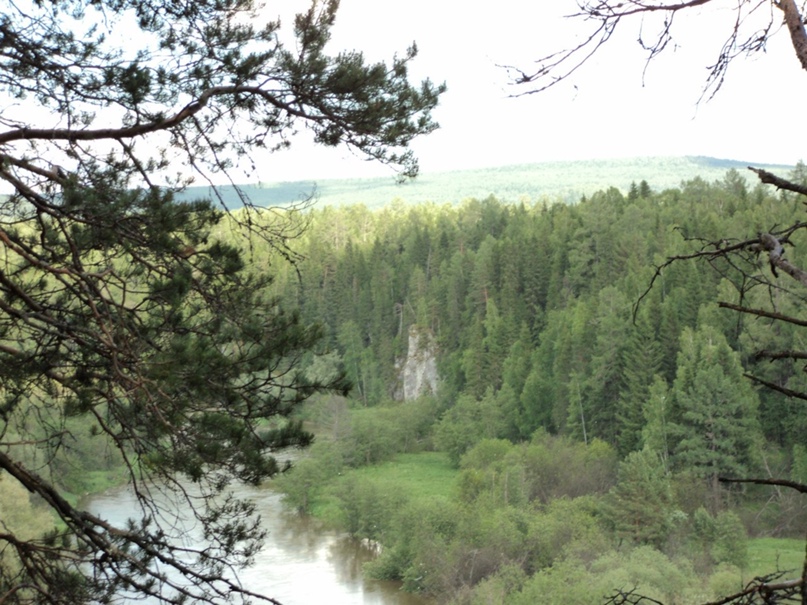 Николай Бухаров | Курган