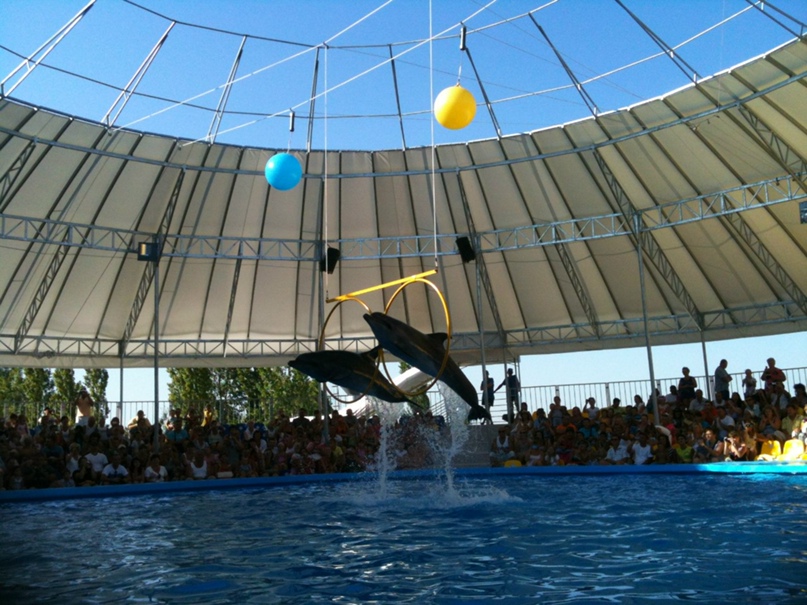 Вячеслав Володин | Николаев