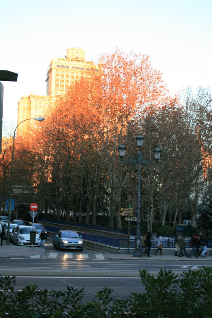 Евгения Терентьева | Москва