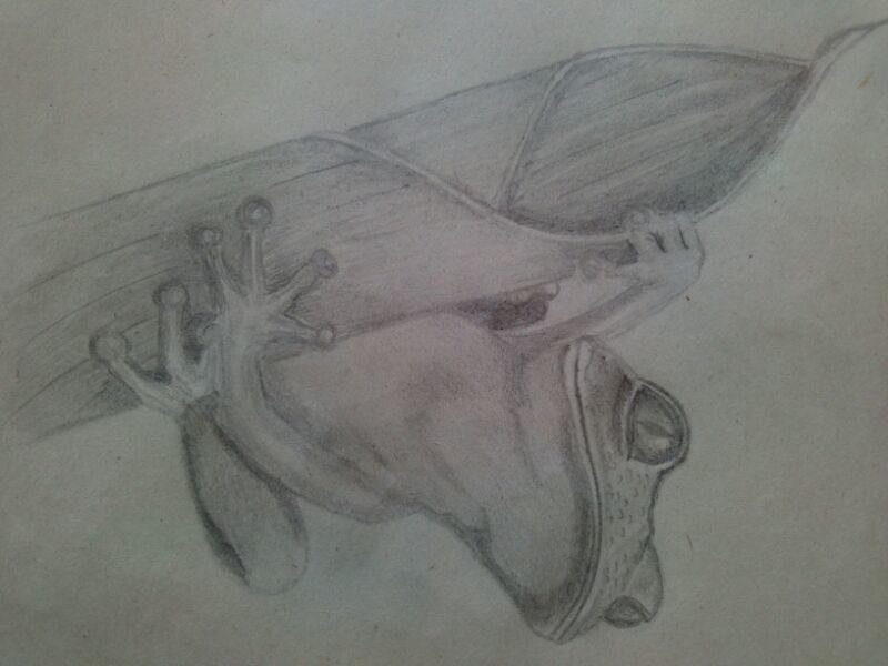 Дмитрий Цыганок | Первомайск