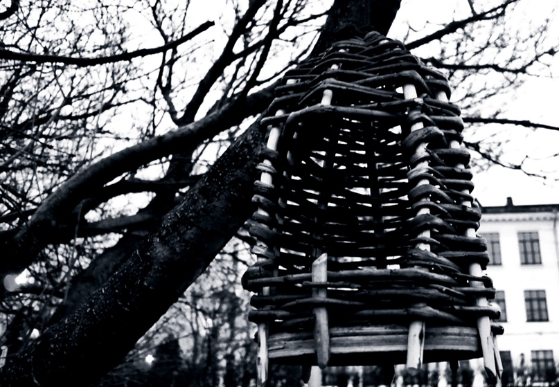 Павел Панин | Новосибирск