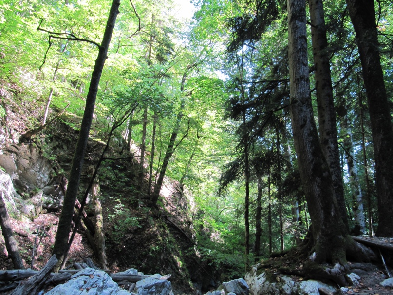 Денис Баринов | Армавир